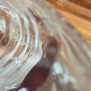 Meet your Posher, Ariana